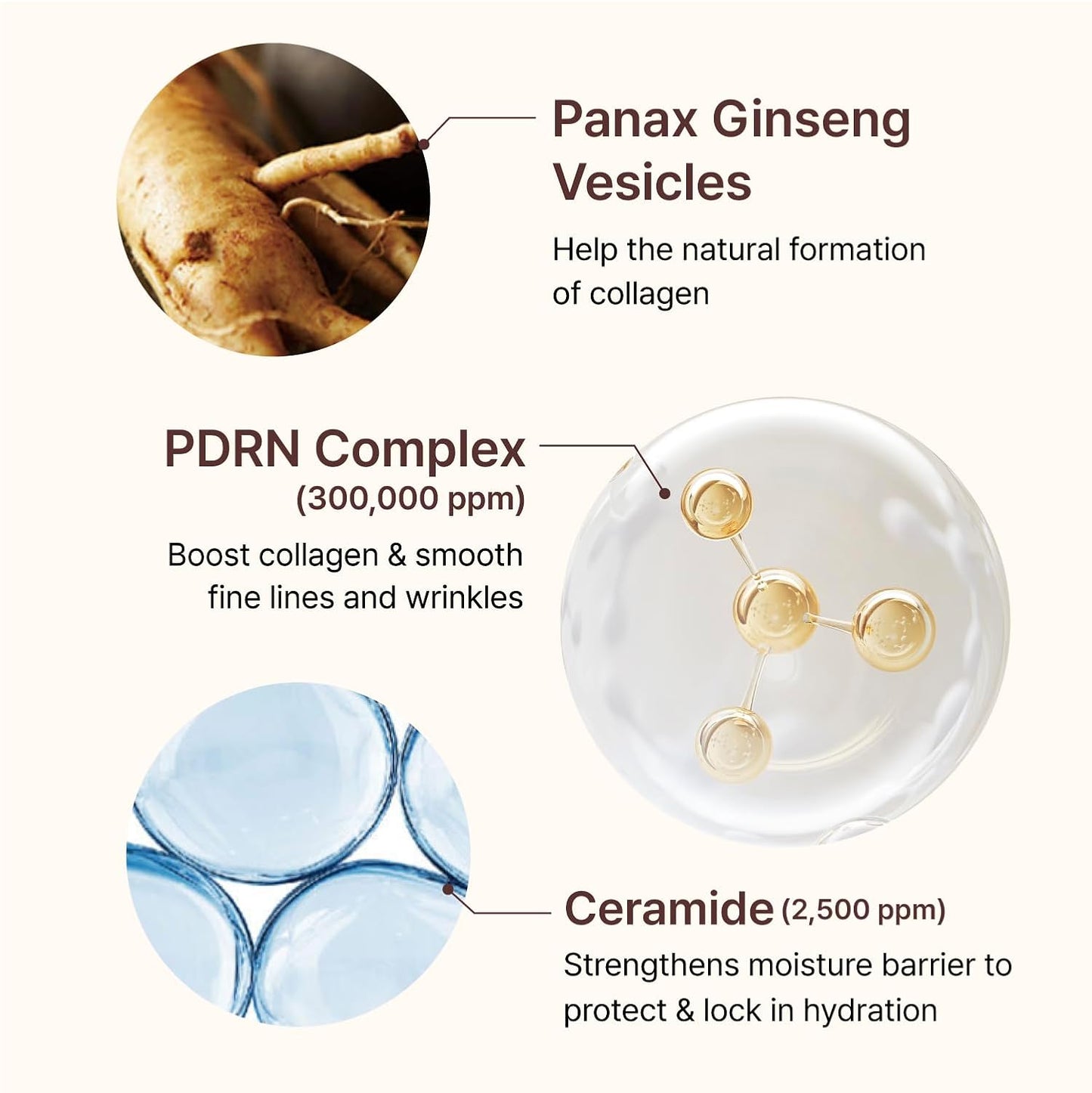 CENTELLIAN 24 PDRN Firming Boosting Ampoule - Improved Skin Elasticity by Dongkook Pharmaceutical. PDRN 300,000 ppm, Hydrolyzed Collagen & Elastin