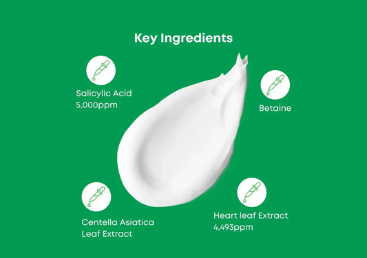NINELESS A-Control Heartleaf & BHA Cleanser – Korean Exfoliating Face Wash with Salicylic Acid for Clear Skin – Blackhead Remover, Deep Pore Cleansing