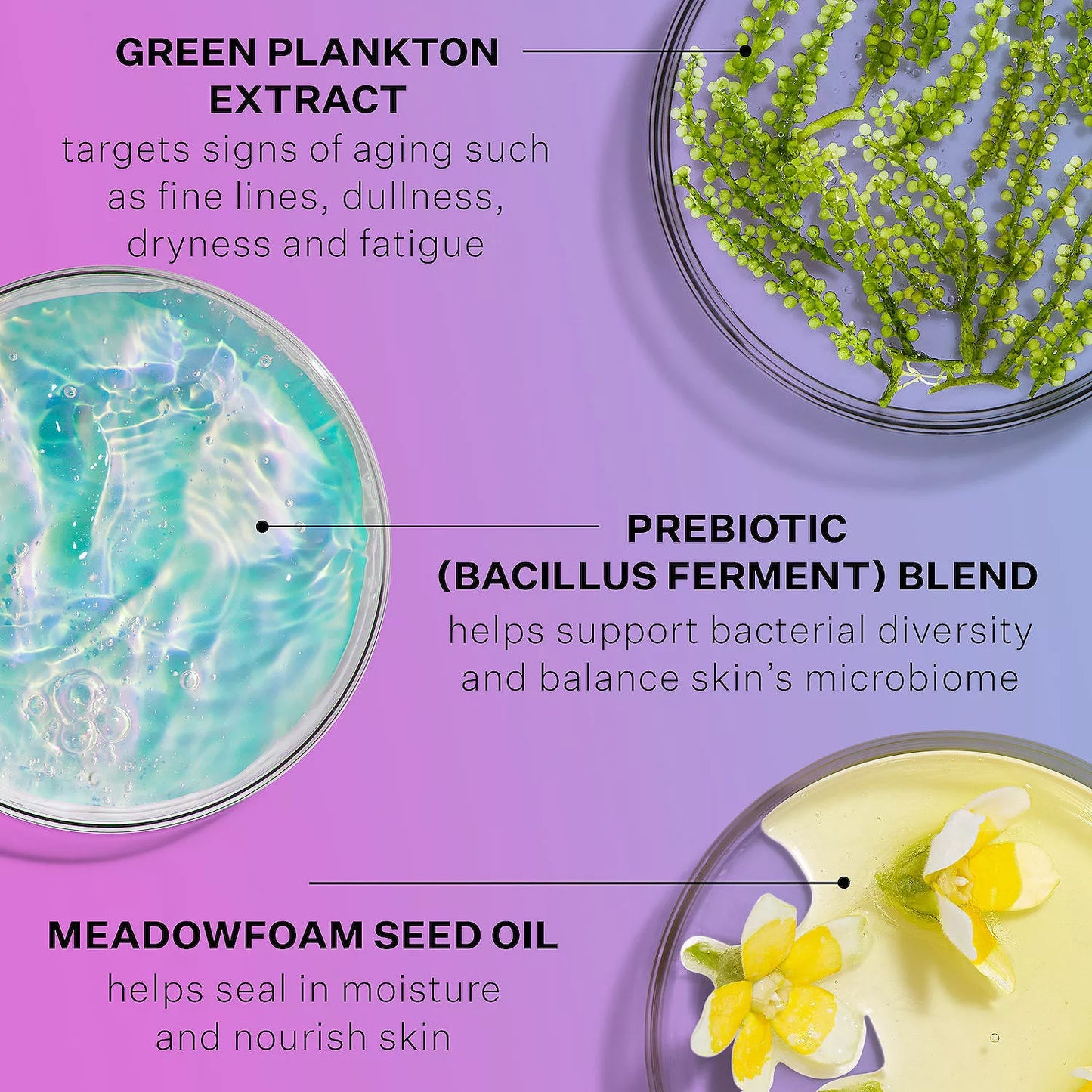 StriVectin Multi-Action Super-B Barrier Strengthening Oil