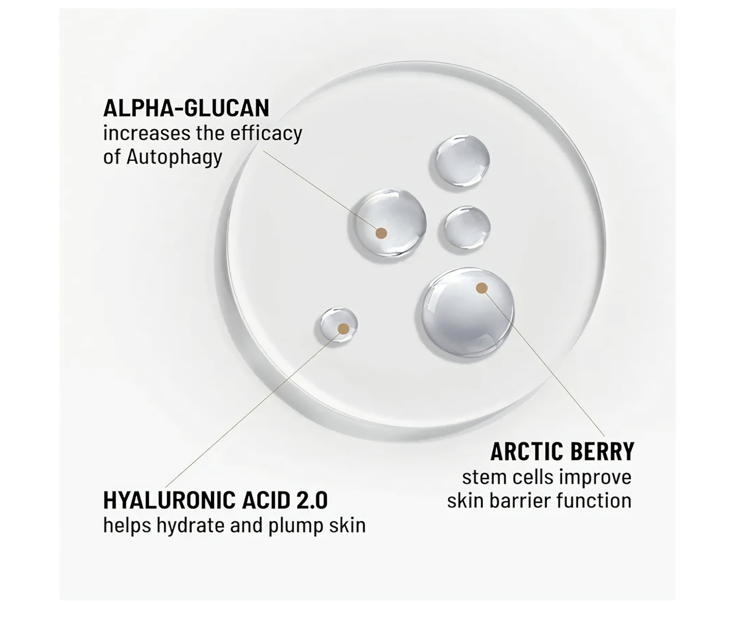 Dr. Brandt Drop of Strength All-Day Strengthening Serum - Target the skin’s natural purification process, helps hydrate & plump skin