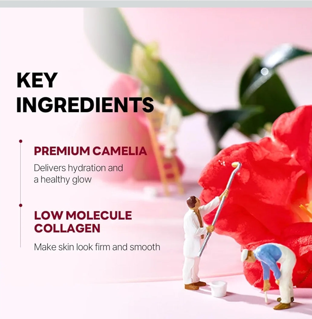 ROUND LAB Camellia Collagen Mask - 30min Hydrogel Mask, Quick Hydration, Firming & Pore Minimizing, For sensitive skin, Micro-molecule collagen - 1 Mask