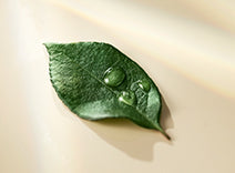 Elizabeth Arden White Tea - Complete Premium SkinCare Set - 5 Piece Skincare Set