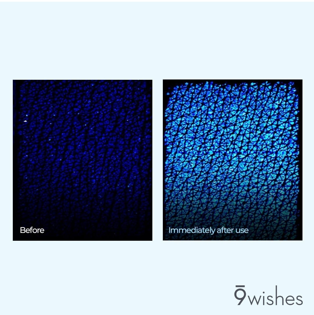 9 wishes Hydra Ampule Cream - Powerful Hydration with Coconut Water - Long Lasting Hydration Facial Moisturizer Deeper Layers of Skin