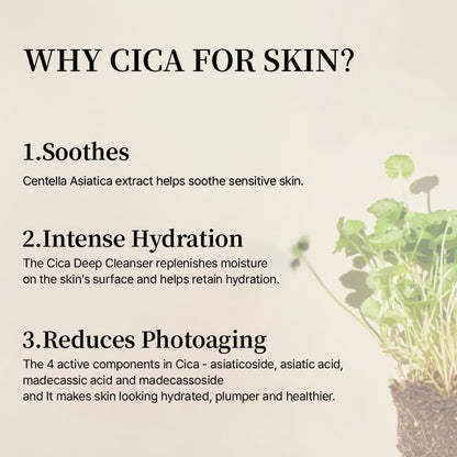 Mixsoon Soondy Centella Asiatica Essence-Soothing and Calming for Face, Jeju Island Cica Extracts and Hydrating Formula for Balanced Skin
