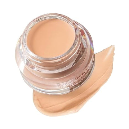 SKINFOOD Salmon PDRN Dark Circle Concealer Cream - (0 Light), Under Eye Concealer for Dark Spots and Wrinkles, Full Coverage, Stocking Stuffer, 10 g (0.35 Oz)