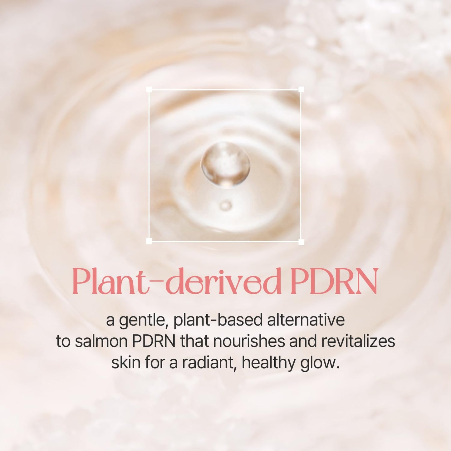 mixsoon PDRN Collagen Tinted Moisturizer Korean Glass Skin (No. 27 Aura) - Skincare-Infused Base with Rice PDRN & Peptides, 24H Vibrant Glow & Luminous Hydration, 10 Shades (Copy)