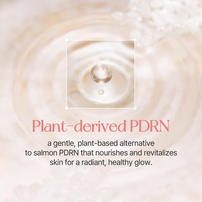 mixsoon PDRN Collagen Tinted Moisturizer Korean Glass Skin (No. 27 Aura) - Skincare-Infused Base with Rice PDRN & Peptides, 24H Vibrant Glow & Luminous Hydration, 10 Shades (Copy)