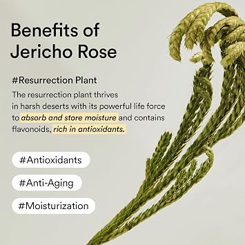 Abib Non-animal Collagen Eye Cream Jericho Rose Tube, 1.01 fl. oz.(30 mL), Anti-Aging Eye Cream with Bakuchiol, Caffeine, Niacinamide for Dark Circles, Puffiness, Wrinkles, Fine Lines.