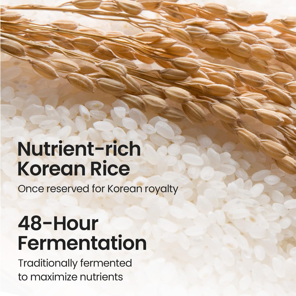 SKINFOOD Rice Starter Kit, Rice Toner, Rice Serum, Rice Moisturizer, and Rice Face Wash for Glass Skin, Korean Skin Care Set, Travel Size Kit, Stocking Stuffers, Gift Set for Women, Skincare Gift Set