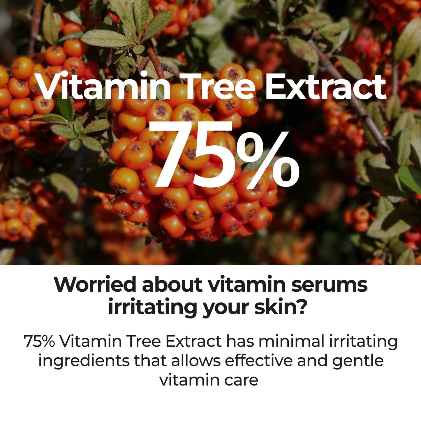 numbuzin No.5 Serum | Goodbye Blemish Serum | for Acne Scars with Vitamin C, Niacinamide, Antioxidant | Lightweight Gel, Korean Skincare for Face