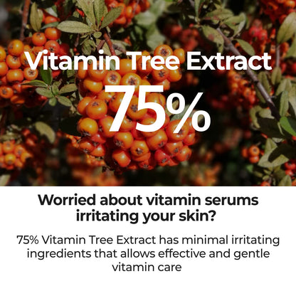numbuzin No.5 Serum | Goodbye Blemish Serum | for Acne Scars with Vitamin C, Niacinamide, Antioxidant | Lightweight Gel, Korean Skincare for Face