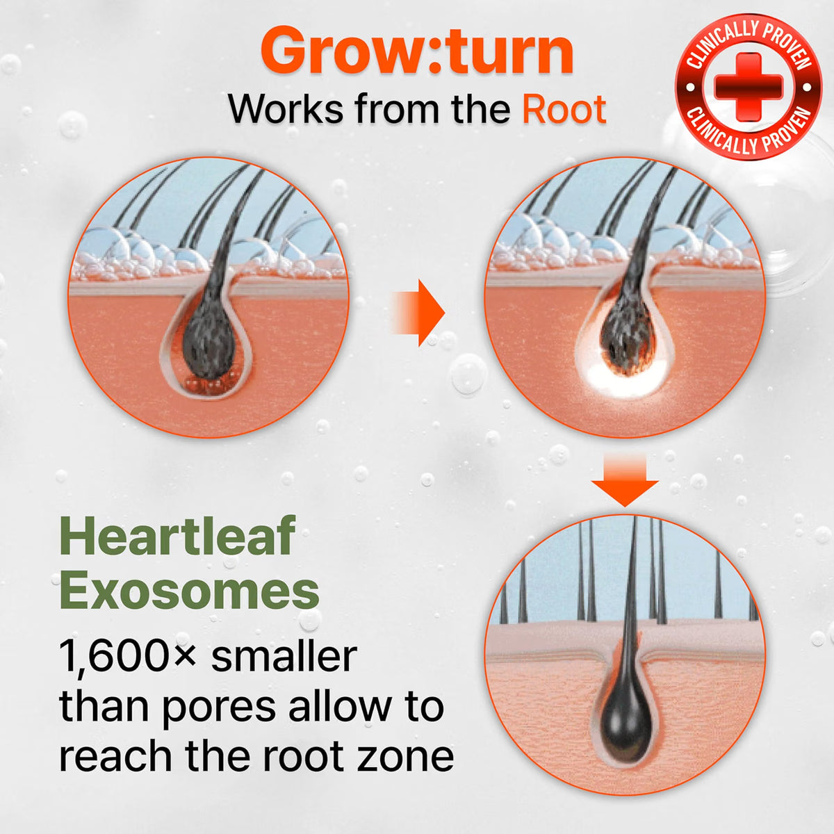lilyeve GROWTURN 3D Volume Shampoo, Biotin, Hair Growth