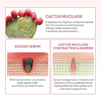 Dr.Melaxin Cactox Pore Dual Capsule Cream – Pore Minimizing Hydrating Face Cream with Cactus Extract, PDRN & Vegan Collagen for Firmness & Skin Repair