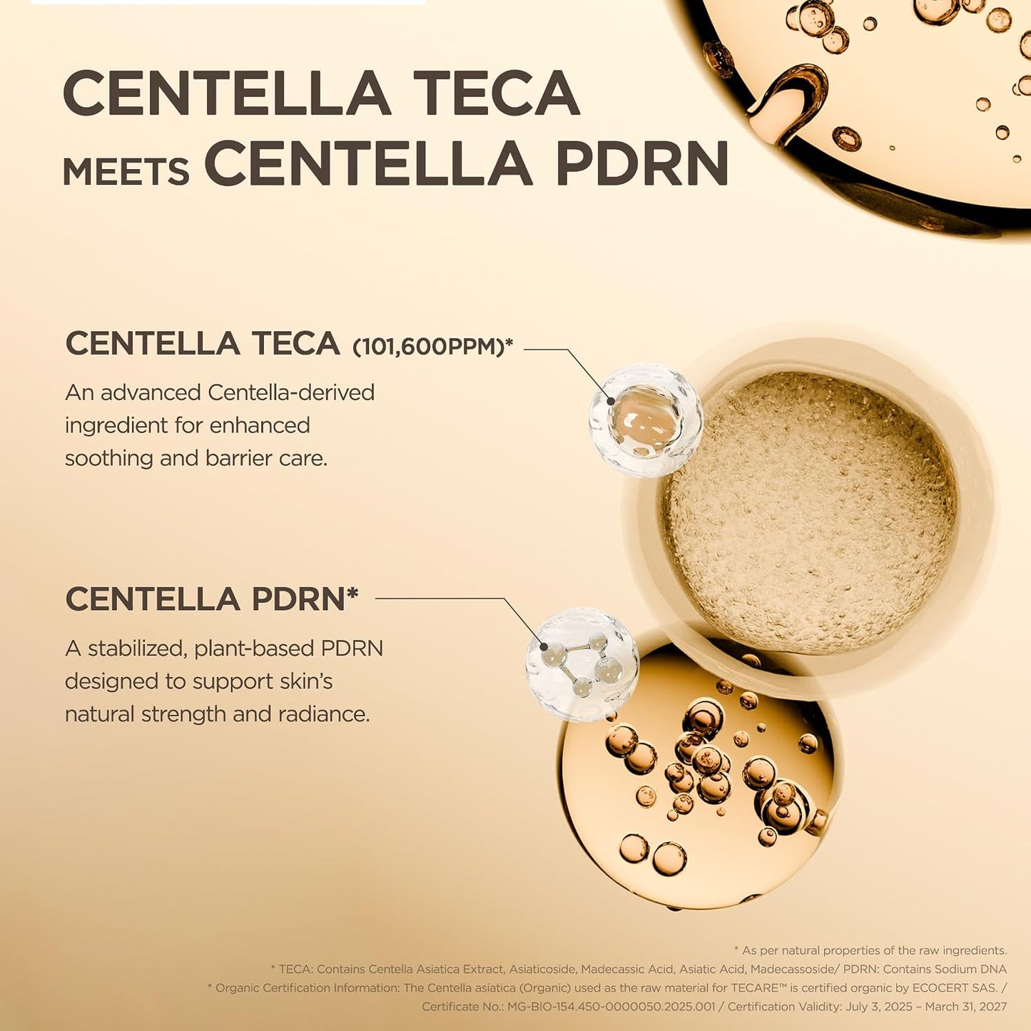SKIN1004 Madagascar Centella TECA Ampoule, Korean Face Serum for Oil Balance & Moisture Barrier Support with TECA & PDRN, Hydrating Serum for Skin Firmness, Korean Skin Care