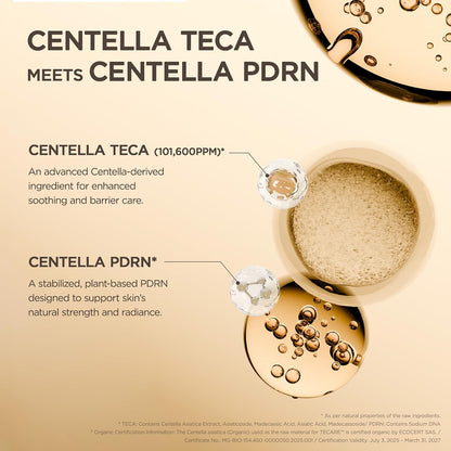 SKIN1004 Madagascar Centella TECA Ampoule, Korean Face Serum for Oil Balance & Moisture Barrier Support with TECA & PDRN, Hydrating Serum for Skin Firmness, Korean Skin Care