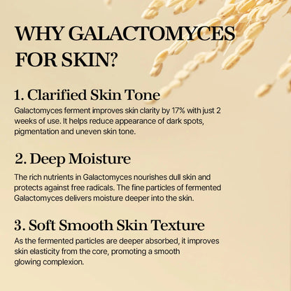 Mixsoon Galactomyces Ferment Essence