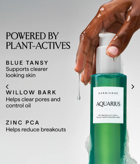 Aquarius BHA+Tansy Clarify Fcial Cleanser