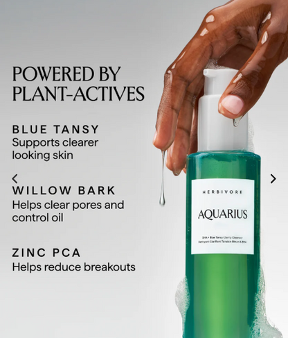 Aquarius BHA+Tansy Clarify Fcial Cleanser