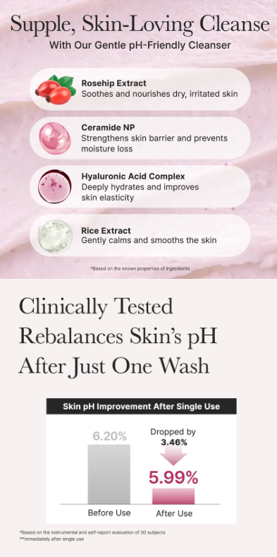 Arencia - Rosehip Mild pH Balancing Rice Cake Cleanser
