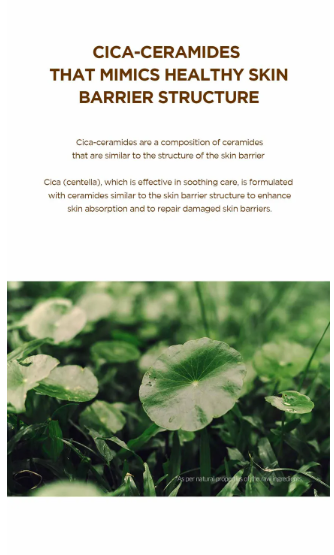 SKIN1004 - Madagascar Centella Probio-Cica Glow Sun Ampoule