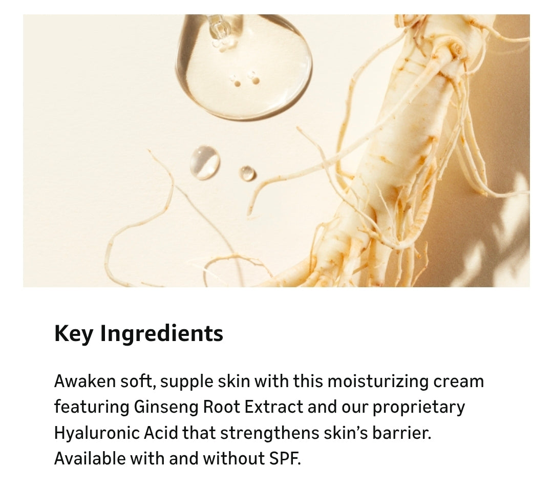 Shiseido Essential Energy Hydrating Cream - Visibly Reduces the Look of Pores & Fine Lines With Hyaluronic Acid 24-Hour Hydration