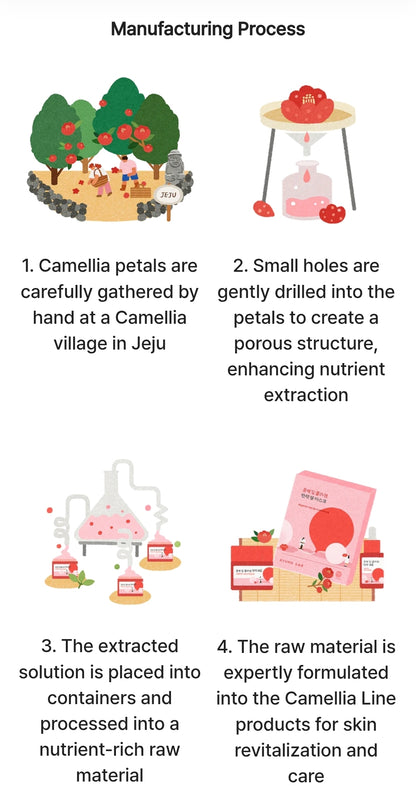 Round Lab Camellia Deep Collagen Firming Gel Mask - Advanced collagen mask infused with CAMELLIA COLLAGENOL for instant revival of dull, aging skin - 1 Mask