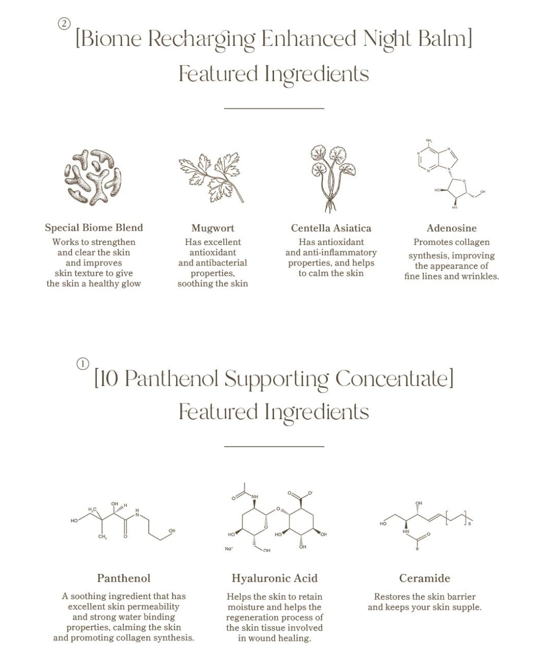 AXIS-Y Biome Recharging Night Renewal Set - Overnight Solution Care Set Skin Barrier Cream with Panthenol Concentrate - Korean Skincare for All Skin Types (2.7 & 0.27 fl. oz.)