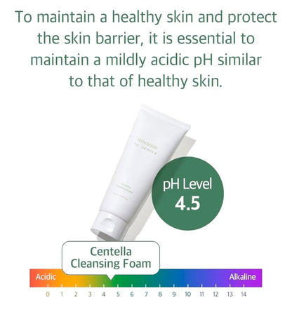 mixsoon Centella Cleansing Foam - Face Wash with Cica, Low pH Cleansing and Soothing for Face, Hydrating Formula