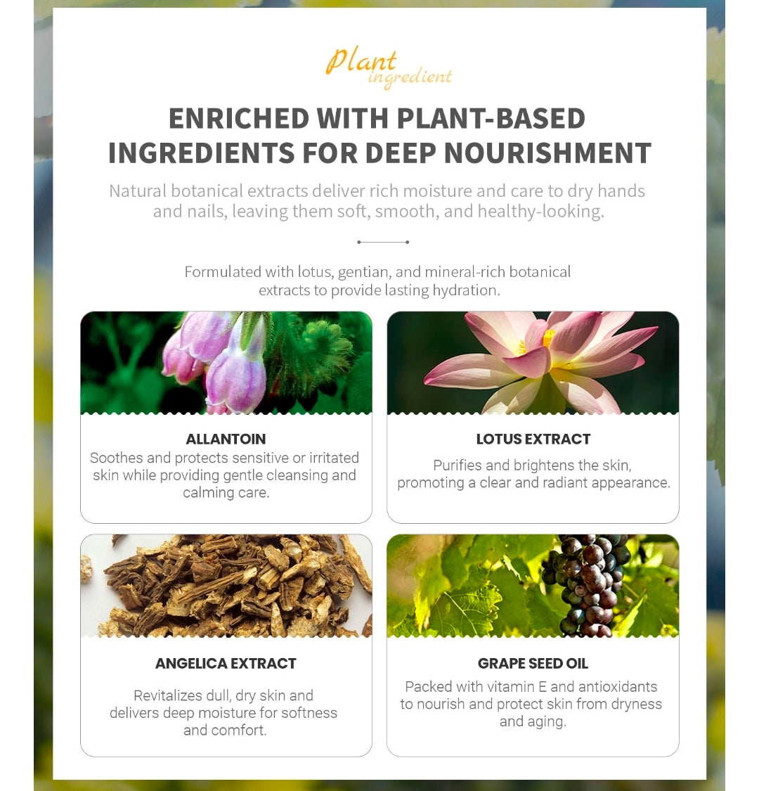 Well-Being Hand Cream - Angelica and Lotus Extracts work together to calm inflammation and restore smooth, healthy-looking hands