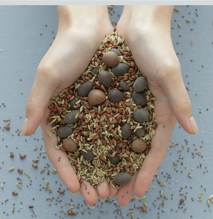 Blithe Vital Treatment 9 Essential Seeds Niacinamide Toner - Skin Essence for Face, Clarifying Skin Vitalizing & Dark Spots - Hyperpigmentation Care