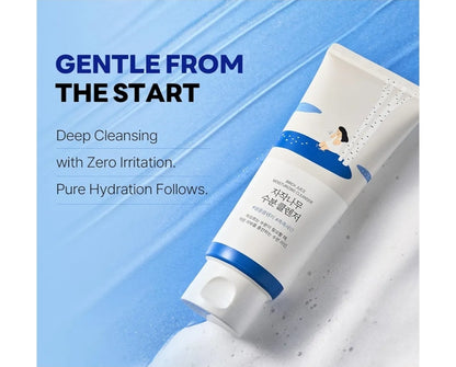 ROUND LAB Birch Juice Moisturizing Cleanser - Unclogs hidden sebum, Clears away dead skin cells., Soothing, Low pH, Gel Type Cleanser