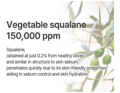 S. Nature AQUA SQUALANE MOISTURIZING CREAM - Face Moisturizer for Dry and Sensitive Skin, Vegetable Squalane 150,00ppm, Long-lasting Hydration, Pore Care Cream
