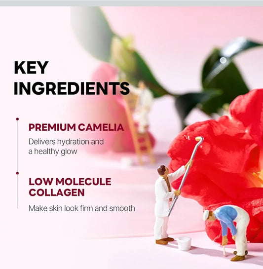 ROUND LAB Camellia Collagen Mask - 30min Hydrogel Mask, Quick Hydration, Firming & Pore Minimizing, For sensitive skin, Micro-molecule collagen - 1 Mask