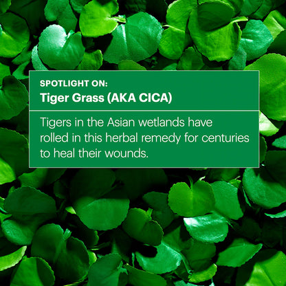 Dr. Jart+ Cicapair Tiger Grass Color Correcting Treatment SPF 22 - Helps soothe, calm, and moisturize the skin it also protects skin from the sun with mineral SPF