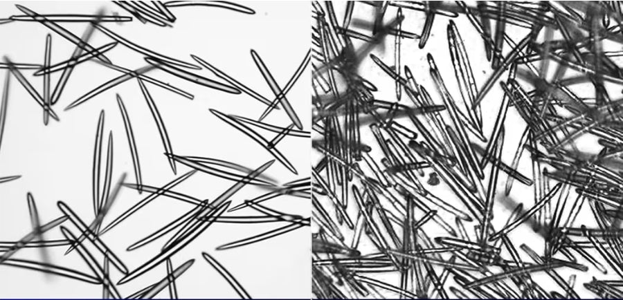 medicube Exosome Shot Zero 2,000 PPM Spicule Facial Serum, Liquid Skin Booster Serum, Exosome, AHA+BHA+PHA, Pore Care, Dead Skin Cells, Skin Texture