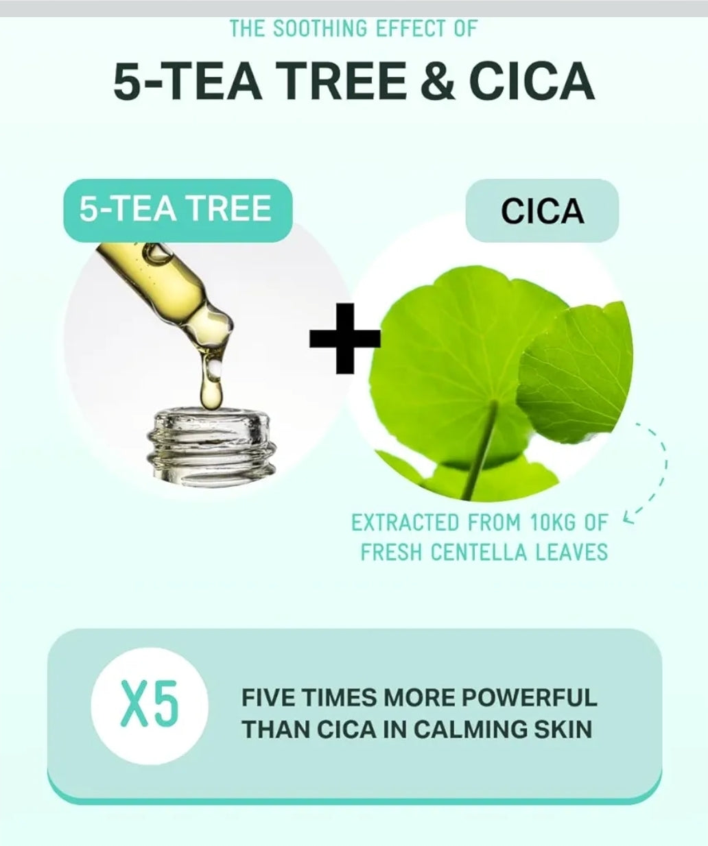 BRINGGREEN Tea Tree Cica Soothing Cream Plus - Korean Skin care, calming and soothing, moisturizer for skin, facial cream, trouble care, blackhead removing pore care