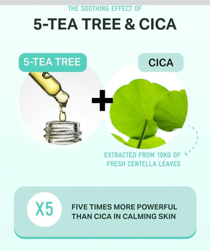BRINGGREEN Tea Tree Cica Soothing Cream Plus - Korean Skin care, calming and soothing, moisturizer for skin, facial cream, trouble care, blackhead removing pore care