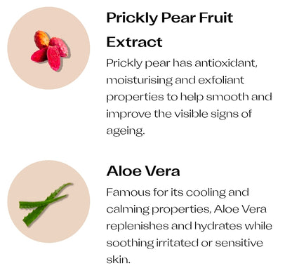 Trilogy Set - Vitamin C Cleansing Mousse & Line Smoothing Day Cream - Brightening, Anti-Aging, Antioxidant