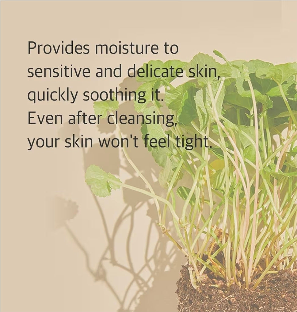 mixsoon Centella Cleansing Foam - Face Wash with Cica, Low pH Cleansing and Soothing for Face, Hydrating Formula