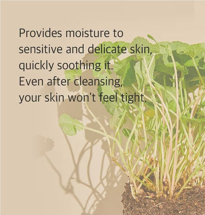 mixsoon Centella Cleansing Foam - Face Wash with Cica, Low pH Cleansing and Soothing for Face, Hydrating Formula
