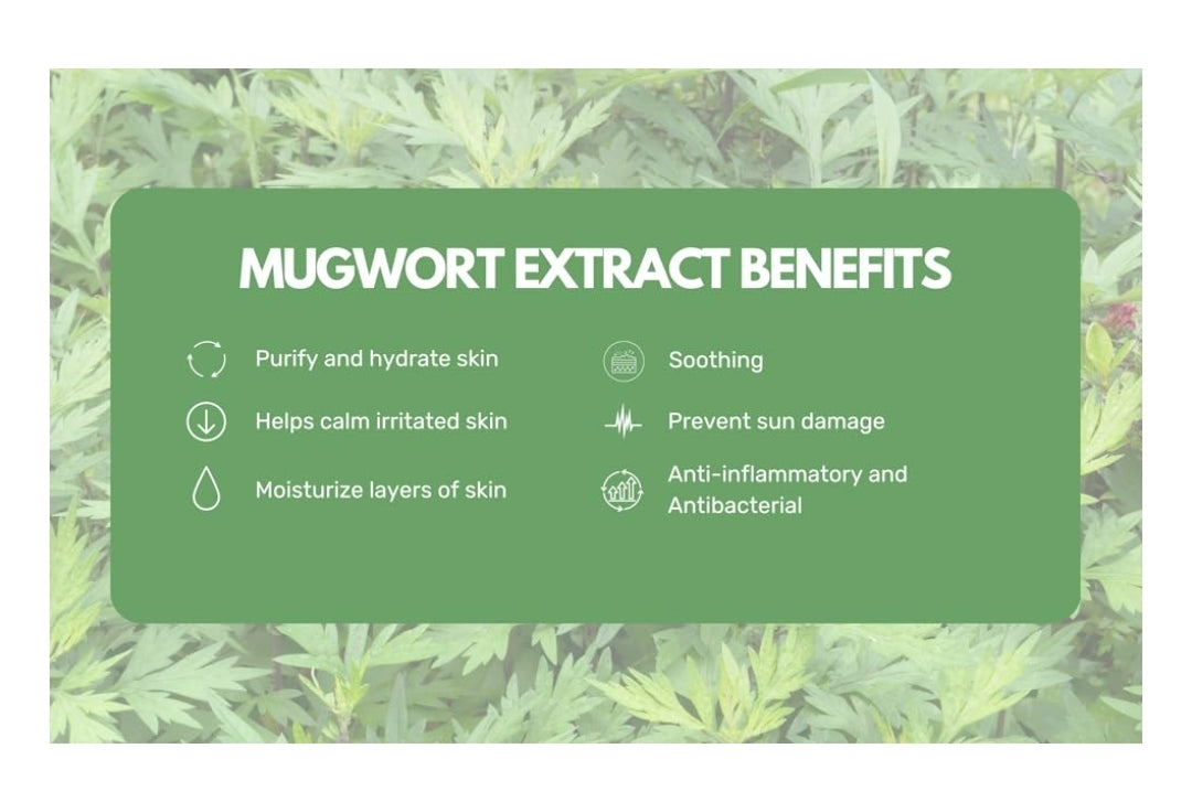 Round Lab Mugwort Calming Cleanser - Cleanse and calm simultaneously, Formulated with 4 CICA, Soothing, Low pH, Moisturizing, Cream Type Cleanser