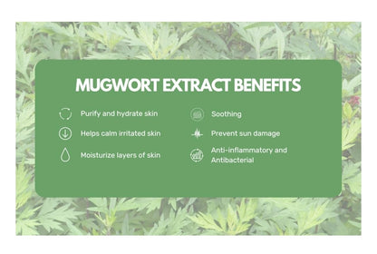Round Lab Mugwort Calming Cleanser - Cleanse and calm simultaneously, Formulated with 4 CICA, Soothing, Low pH, Moisturizing, Cream Type Cleanser