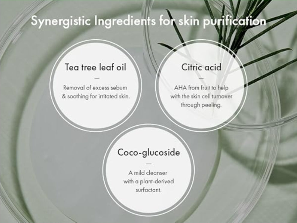 Dr. Ceuracle Tea Tree Purifine Cleansing Foam - Gel to Foam Mild Soothing Daily Cleanser with Fine Bubbles, Sebum Reducing and Hydrating for Sensitive Skin