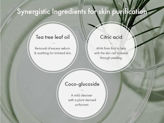 Dr. Ceuracle Tea Tree Purifine Cleansing Foam - Gel to Foam Mild Soothing Daily Cleanser with Fine Bubbles, Sebum Reducing and Hydrating for Sensitive Skin