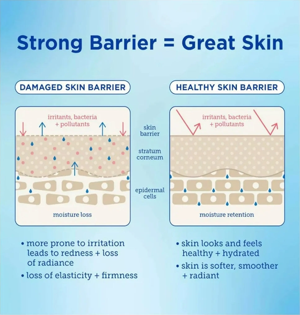 Skinfix Barrier Buddies: Cleanser + Triple Lipid-Peptide Cream Hydration Travel Set - Targets fine lines and wrinkles, dryness, and redness