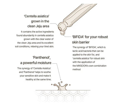 Mixsoon Master Serum Suero Hidratante - Fórmula ligera e hidratante intensiva para una piel radiante (60 ml)