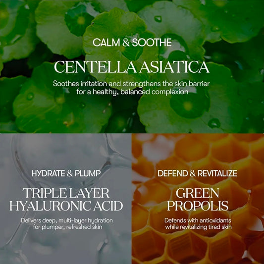 Mascarilla calmante diaria CICA de VT COSMETICS (30 láminas) - Centella asiática y ácido hialurónico para hidratar, calmar y dar luminosidad al instante, mascarilla facial suavizante.