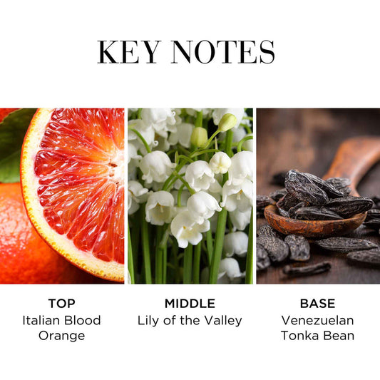 Elizabeth Arden White Tea Eau Fraiche Eau De Toilette - Cítricos vigorizantes y un toque floral 1.7 oz