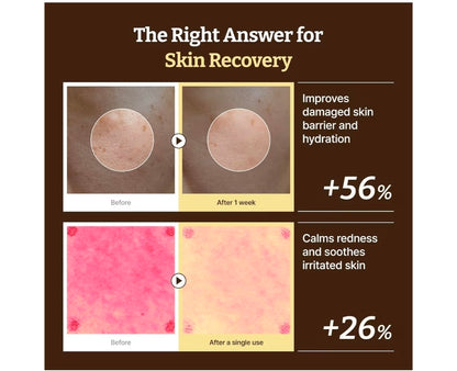 Dr. Reju-All Advanced PDRN Rejuvenating Cream – 99% Pure Salmon DNA Gel Type Face Moisturizer – Optimal 1200ppm for Glass Skin & Plumping – Anti-Aging Skin Care Face Cream