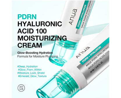 Anua PDRN Hyaluronic Acid 100 Moisturizing Cream - Lightweight Hydrating Moisturizer with Salmon DNA, Hyaluronic Acid, Collagen